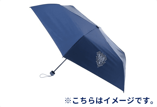 上位コース特典グッズ(晴雨兼用折りたたみ傘)のイメージ画像