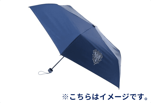 上位コース特典グッズ（晴雨兼用折りたたみ傘）のイメージ画像