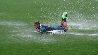 【広報ブログ】今日の雁の巣。