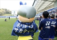 試合写真