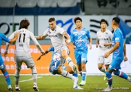 試合写真