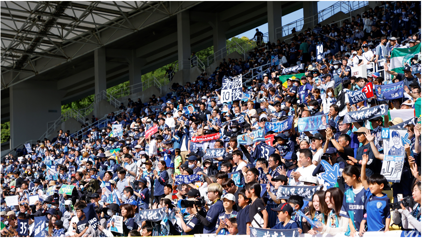 試合観戦