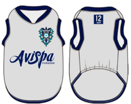 アビスパ福岡ウェア アビスパ福岡【公式】 on X: 