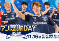 【提供追加】 アビスパ福岡 チームエディション まとめ売り アビスパ 提供追加】 アビスパ福岡 チームエディション まとめ売り