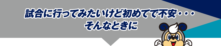 試合に行ってみたいけど初めてで不安・・・そんなときに