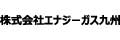 株式会社エナジーガス九州