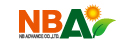 NB ADVANCE COMPANY LIMITED