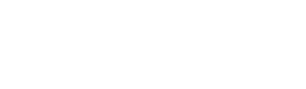 TEAM NAYBee