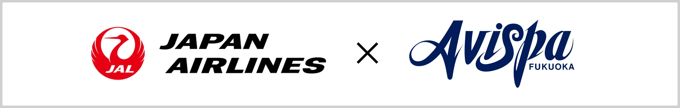 JAL×Avispa