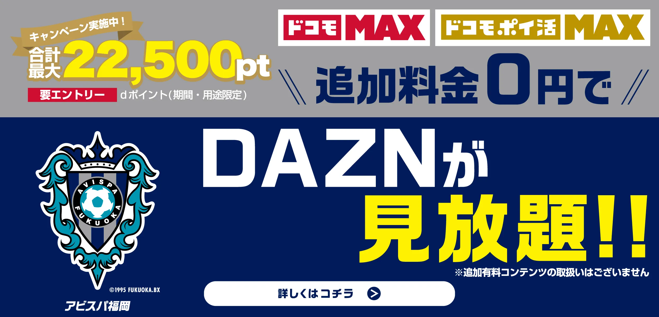 Avispa Fukuoka banner