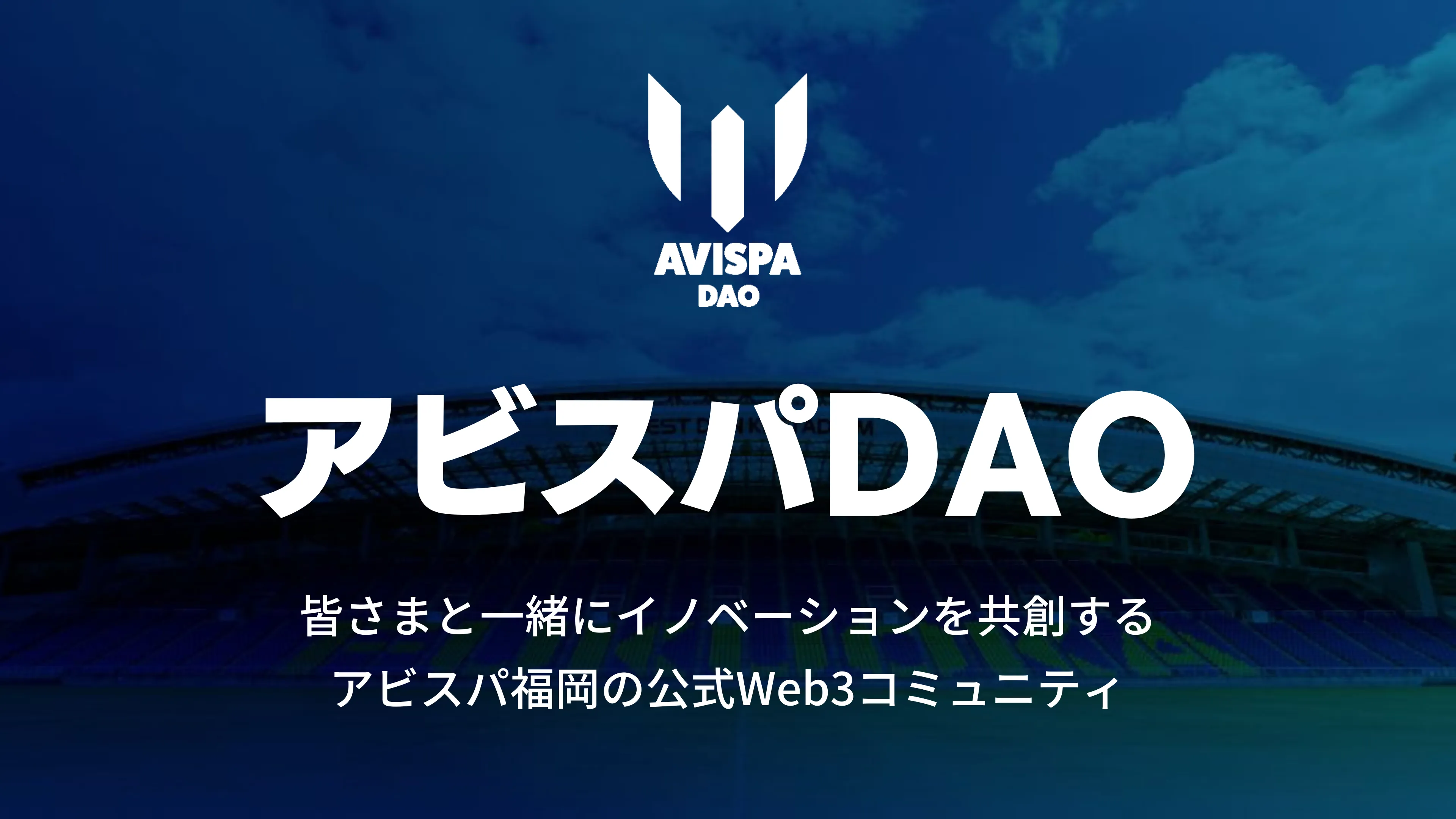 Avispa Fukuoka banner
