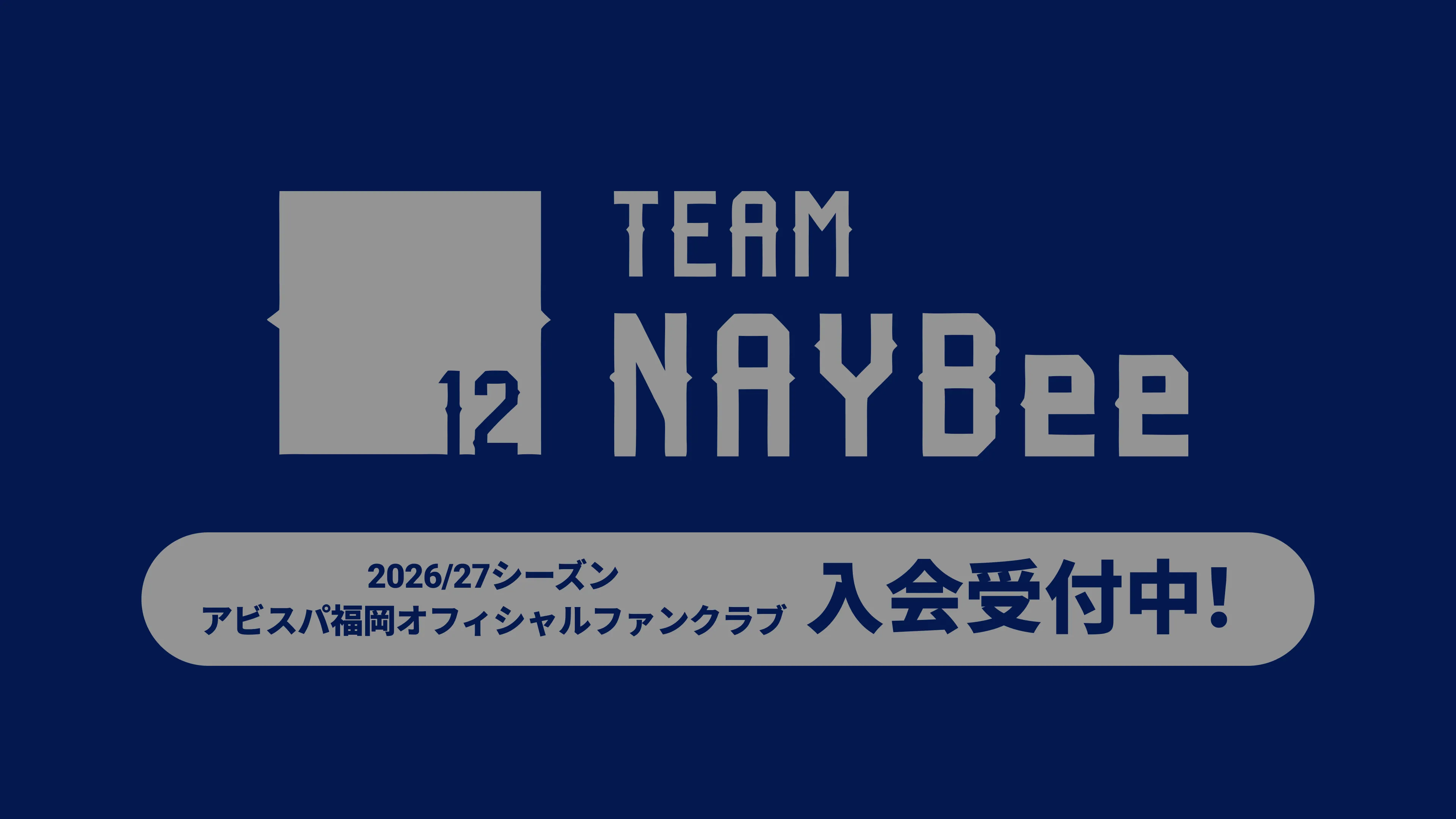 Avispa Fukuoka banner