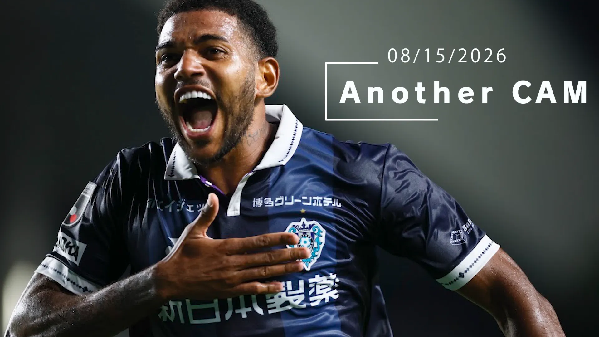 Avispa movie