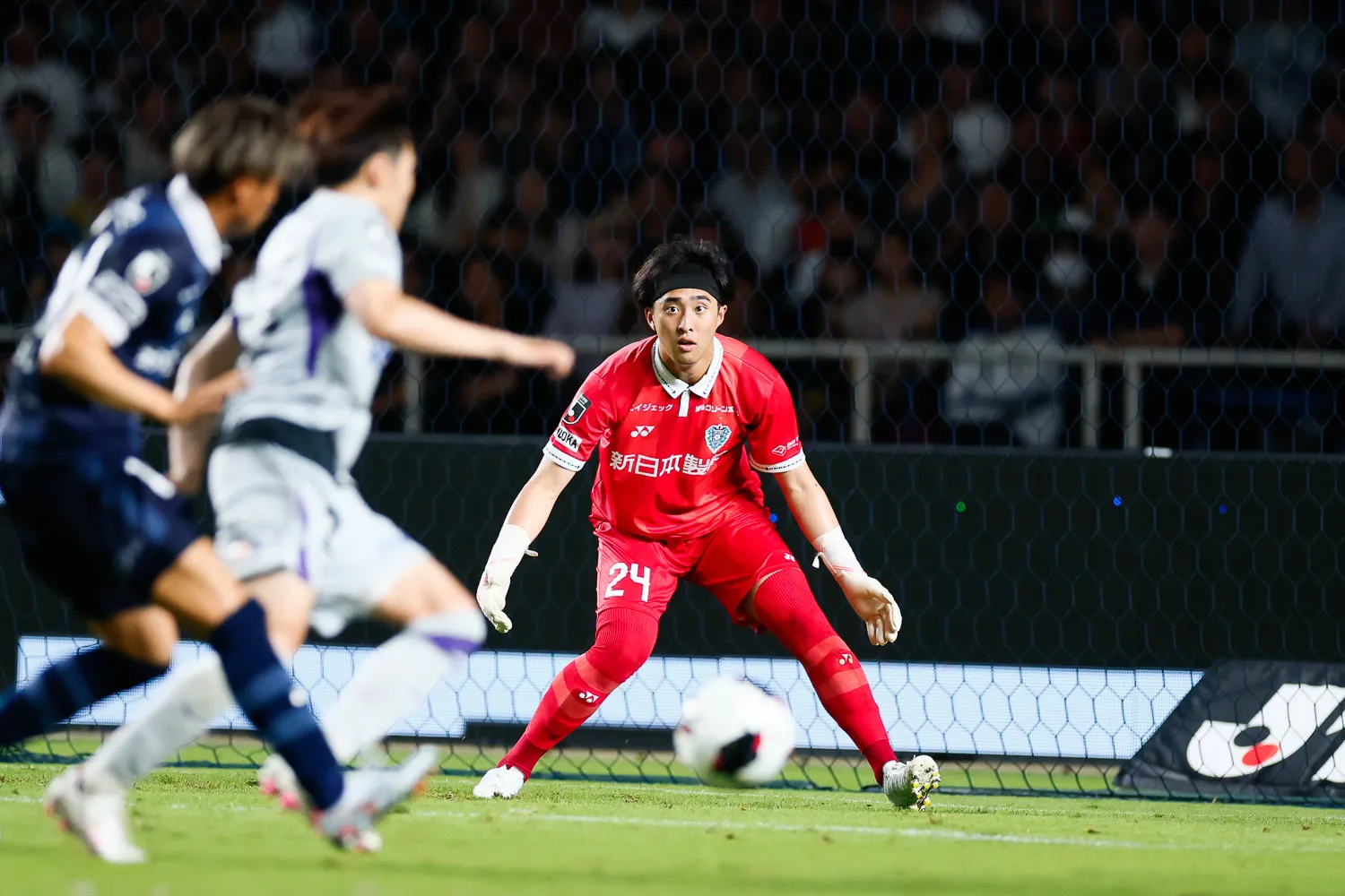 Avispa movie